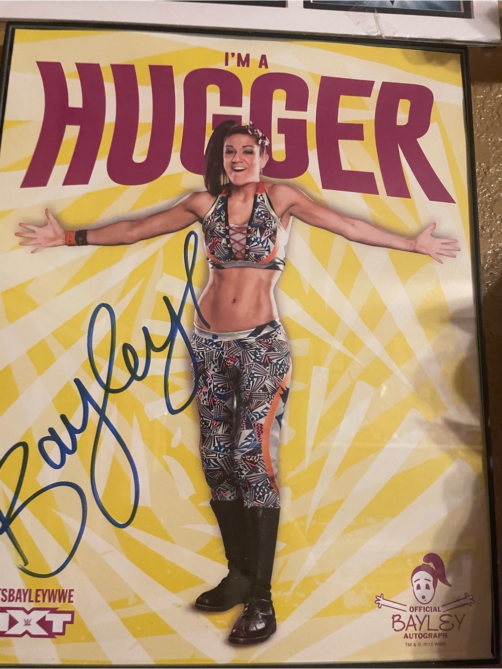 WWE Poster with Yellow and Blue Accents